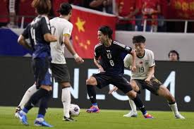 国家队级别