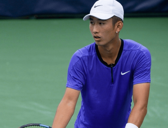 本文将深入 本文将深入