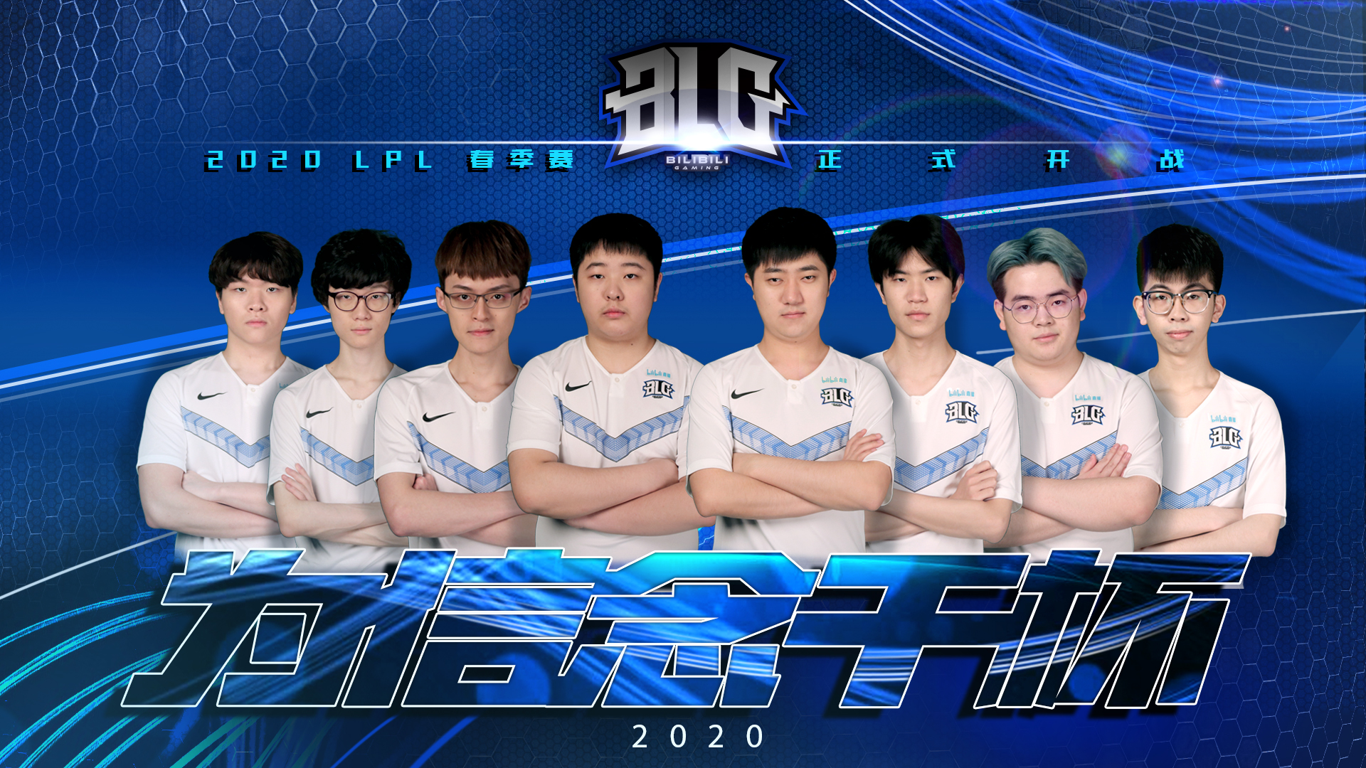 的组织作用 的组织作用