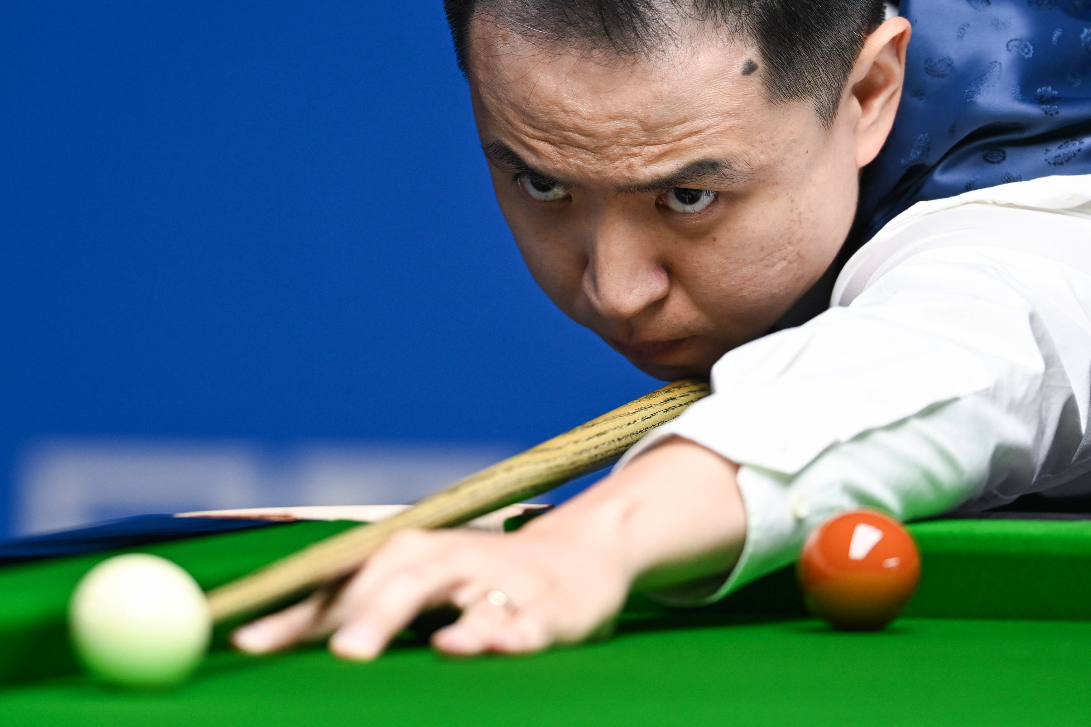 展示了一个 展示了一个